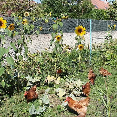 شقة Les Miglou - Maison Picarde Entre Paris Et La Champagne ! Nogentel